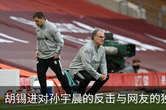 胡锡进对孙宇晨的反击与网友的独到建议